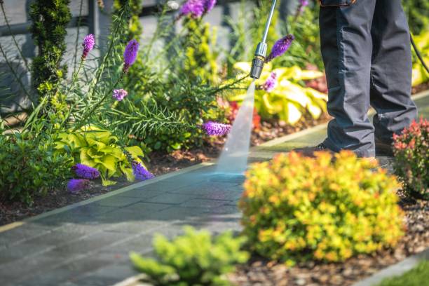 Best Animal Enclosure Cleaning  in Pomona, CA